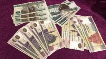 أفضل شهادات.. تحديثات 2025 تكشف خيار الادخار المربح بعد قرار المركزي الأخير